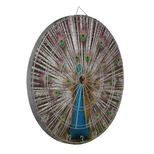Friedlicher Pfau Dartscheibe (Vorderseite Links)