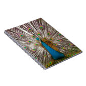 Friedlicher Pfau Notizblock (Rechte Seite)