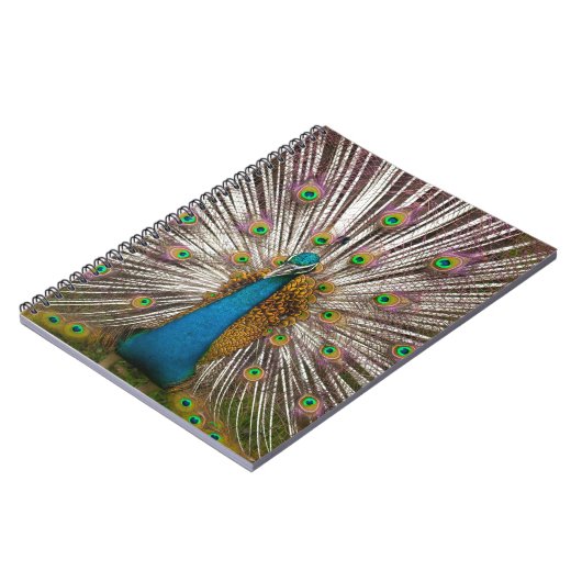 Friedlicher Pfau Notizblock (Linke Seite)