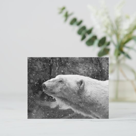 Friedlicher Polar Postkarte (Stehend Vorderseite)