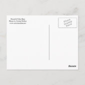 Friedlicher Polar Postkarte (Rückseite)