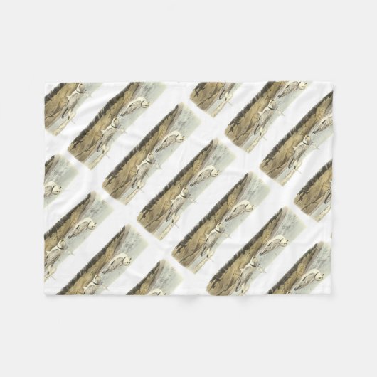 Friedlicher Regenpfeifer durch Audubon Fleecedecke (Vorderseite (Horizontal))