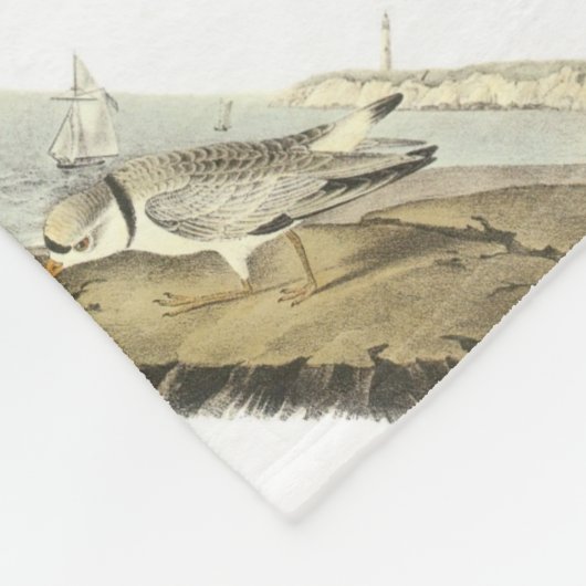 Friedlicher Regenpfeifer durch Audubon Fleecedecke (Ecke)