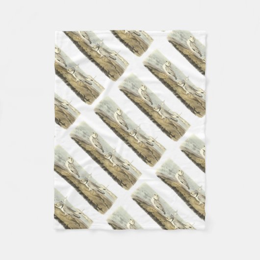 Friedlicher Regenpfeifer durch Audubon Fleecedecke (Vorderseite)