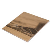 Friedlicher Regenpfeifer-große (6" X 6") Fliese (Seite)
