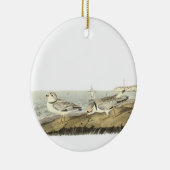 Friedlicher Regenpfeifer, John Audubon Keramik Ornament (Rechts)
