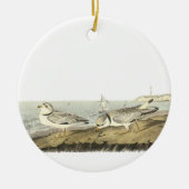 Friedlicher Regenpfeifer, John Audubon Keramik Ornament (Vorne)