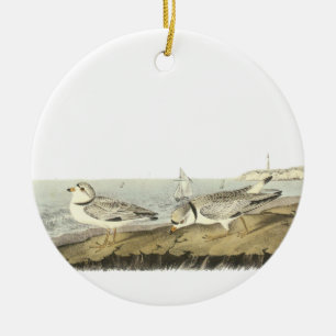 Friedlicher Regenpfeifer, John Audubon Keramik Ornament