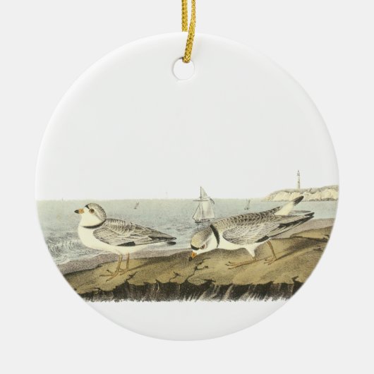 Friedlicher Regenpfeifer, John Audubon Keramik Ornament (Vorne)
