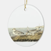 Friedlicher Regenpfeifer, John Audubon Keramik Ornament (Links)