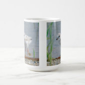 Friedlicher Regenpfeifer Kaffeetasse (Mittel)