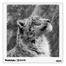 Friedlicher Schnee-Leopard