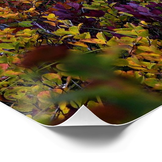 Friedlicher See Lebhafter Fall Farbe Landschaft Poster (Ecke)