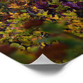 Friedlicher See und lebendige Herbstfarbenlandscha Poster (Ecke)