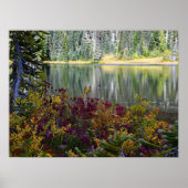 Friedlicher See und lebendige Herbstfarbenlandscha Poster (Vorne)