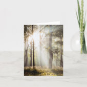 Friedlicher, sonnendurchfluteter Wald Karte (Vorderseite)