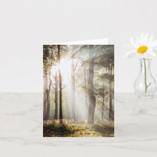 Friedlicher, sonnendurchfluteter Wald Karte (Kleine Pflanze)