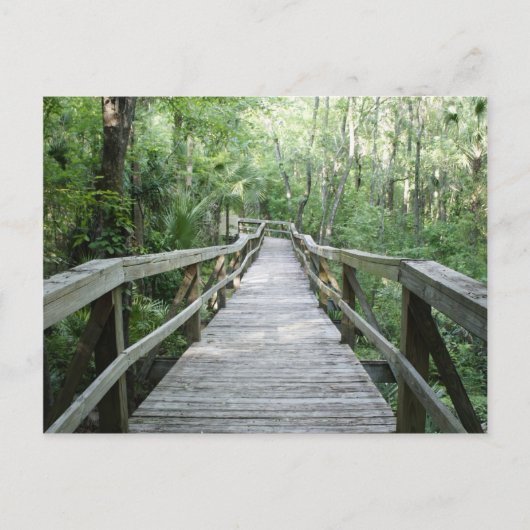 Friedlicher Spaziergang Postkarte (Vorderseite)