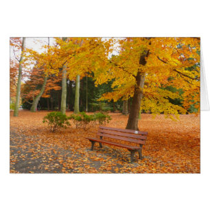 Friedlicher und ruhiger Herbst im Park