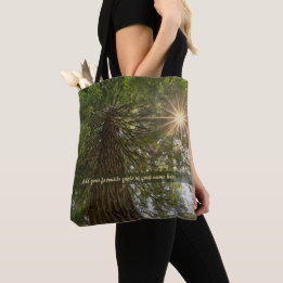 Friedlicher Wald mit goldenem Licht Foto Tasche