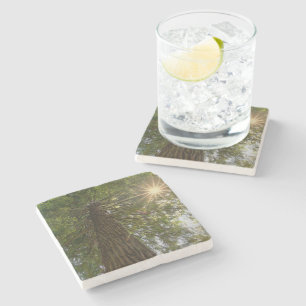Friedlicher Wald mit goldenem Licht Naturfoto Steinuntersetzer