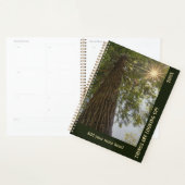 Friedlicher Wald mit goldenem Licht Planer (Anzeige)