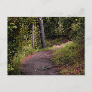 Friedlicher Waldweg auf dem Lemminer Lemberg Postkarte