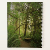 Friedlicher Waldweg in Washington Planer (Rückseite)