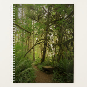 Friedlicher Waldweg in Washington Planer