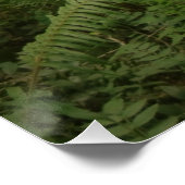 Friedlicher Waldweg in Washington Poster (Ecke)