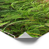 Friedlicher Waldweg Poster (Ecke)