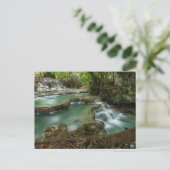 Friedlicher Wasserfall im Wald Pools Postkarte (Stehend Vorderseite)