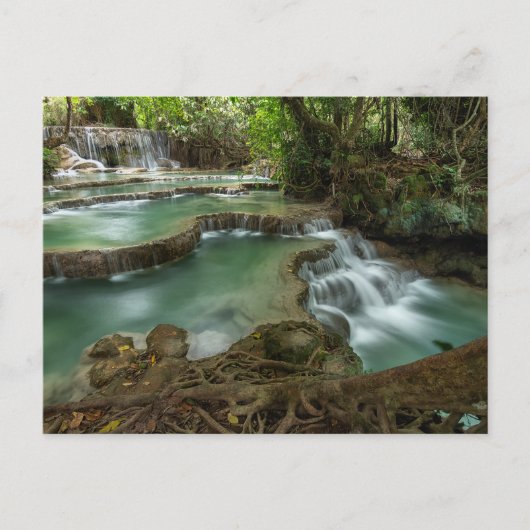 Friedlicher Wasserfall im Wald Pools Postkarte (Vorderseite)