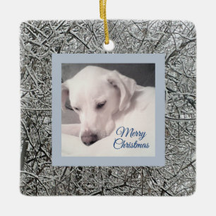 Friedlicher weißer Welpenhund Snowy Day Blue Snowy Keramikornament