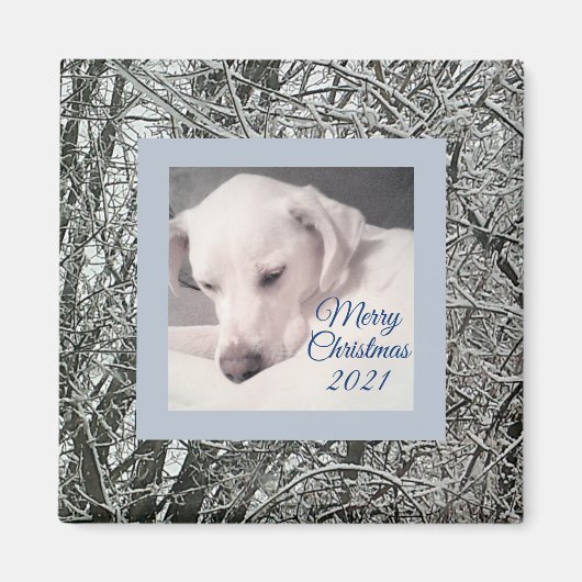 Friedlicher Welpe Hund Schneezeit Weihnachtsmagne Magnet (Vorne)