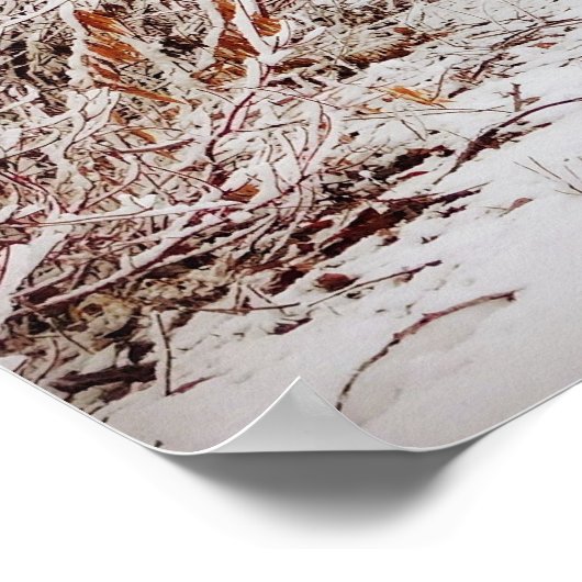 Friedlicher Winterweg Poster (Ecke)