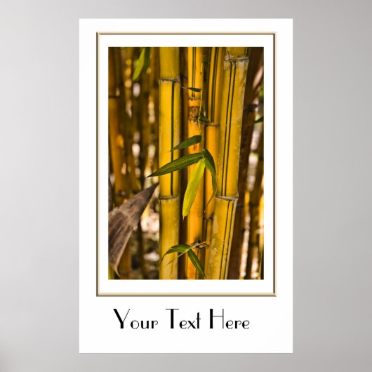 Friedliches Bamboo-Jungle-Poster Poster (Vorne)