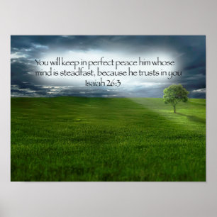 Friedliches Baumfeld Blue Sky Bible Verse Poster