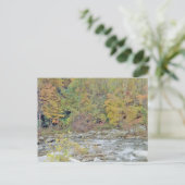 Friedliches Gebiet mitten im Wald Postkarte (Stehend Vorderseite)