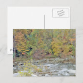 Friedliches Gebiet mitten im Wald Postkarte (Vorne/Hinten)