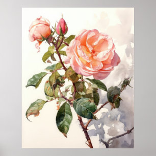 Friedliches Klettern Rose im Wasser Poster