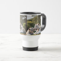 Friedliches Paar – Weiße Tiger
