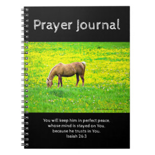 Friedliches Palomino-Pferdegebet Journal Notizblock