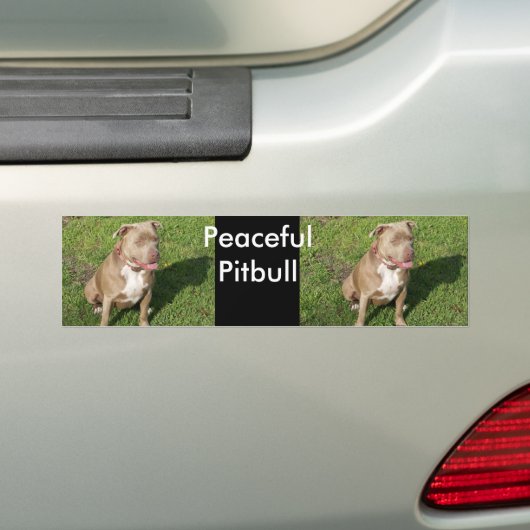 Friedliches Pitbull Autoaufkleber (Auf Auto)