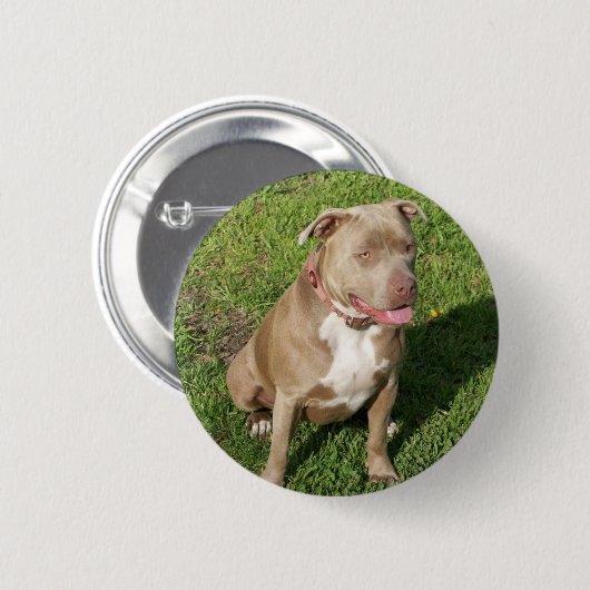 Friedliches Pitbull Button (Vorne & Hinten)