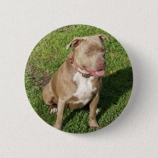 Friedliches Pitbull Button