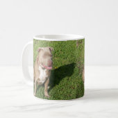 Friedliches Pitbull Kaffeetasse (Vorderseite Links)