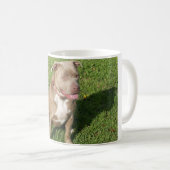 Friedliches Pitbull Kaffeetasse (VorderseiteRechts)