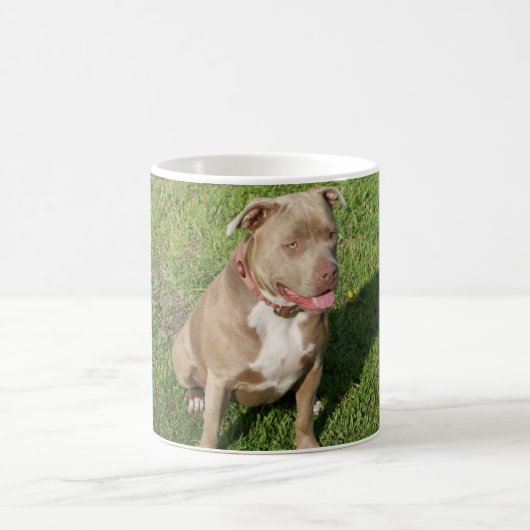 Friedliches Pitbull Kaffeetasse (Mittel)