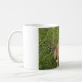Friedliches Pitbull Kaffeetasse (Links)